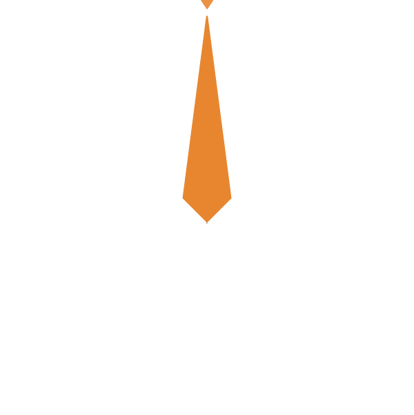 Navalapp logo, white.